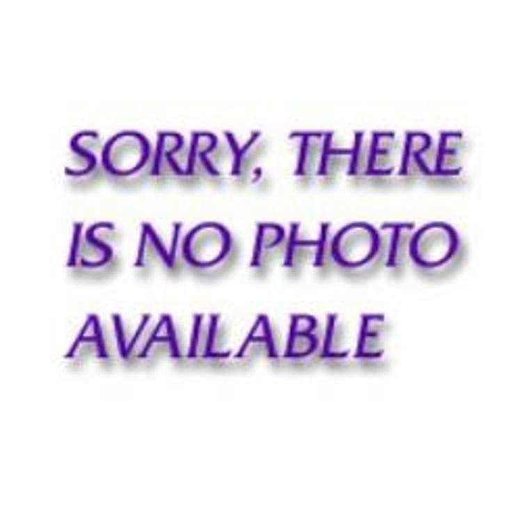 Gearwrench 81227P 120XP Non-Quick Release Dual Pawl Ratchet Repair Kit - Image 4